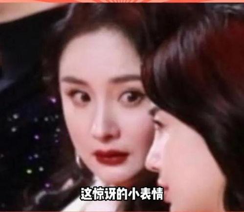 娱乐圈怎么吃瓜,揭秘明星们的“吃瓜”日常